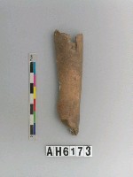 藏品(獸骨)的圖片